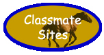 Classmate Websites